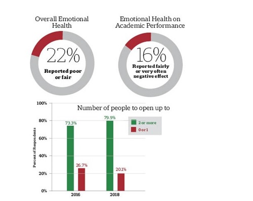 Mental Health Survey